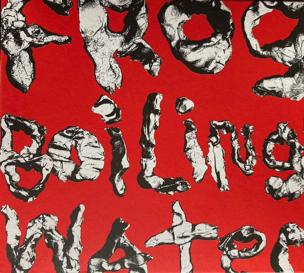 DIIV - Frog In Boiling Water LP