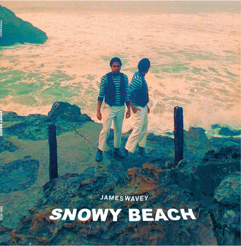 James Wavey - Snowy Beach LP