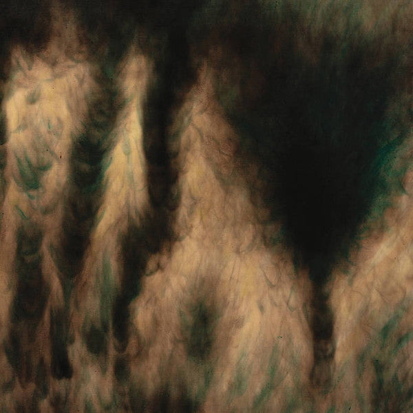 William Basinski - Lamentations 2LP