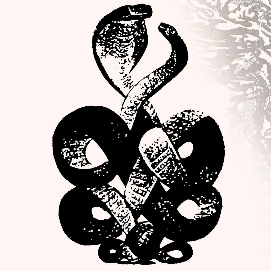Bardo Pond - Volumes 4 & 5 2LP