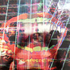 Animal Collective - Centipede HZ 2LP