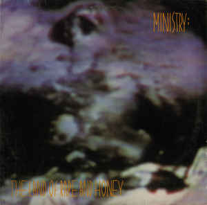 Ministry - The Land Of Rape and Honey LP