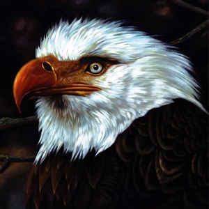 Mogwai - The Hawk Is Howling 2LP