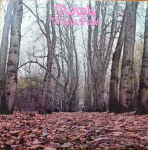 Twink - Think Pink LP