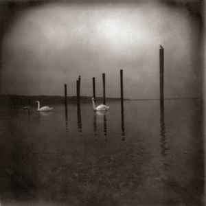 Om - Conference of the Birds LP