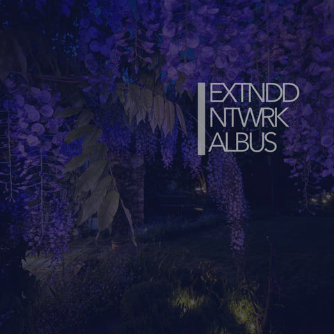 EXTNDDNTWRK - Albus 2LP