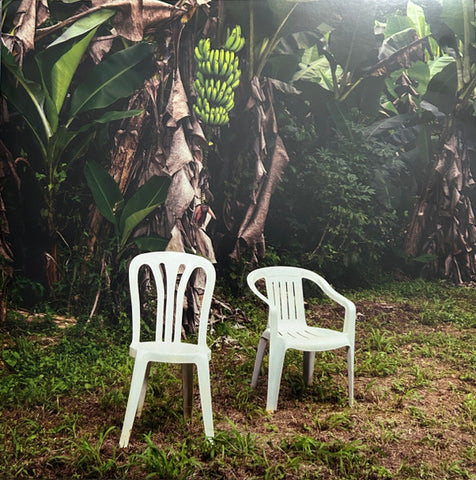 Bad Bunny - Debi Tirar Mas Fotos 2LP