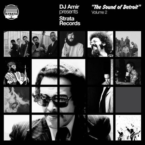 Various Artists - DJ Amir Presents the Sound Of Detroit Vol.2 3LP