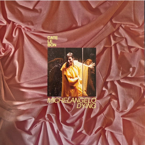 Cate Le Bon - Michelangelo Dying LP
