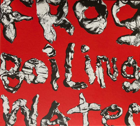 DIIV - Frog In Boiling Water LP