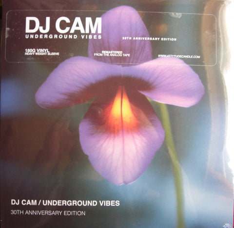 DJ Cam - Underground Vibes LP