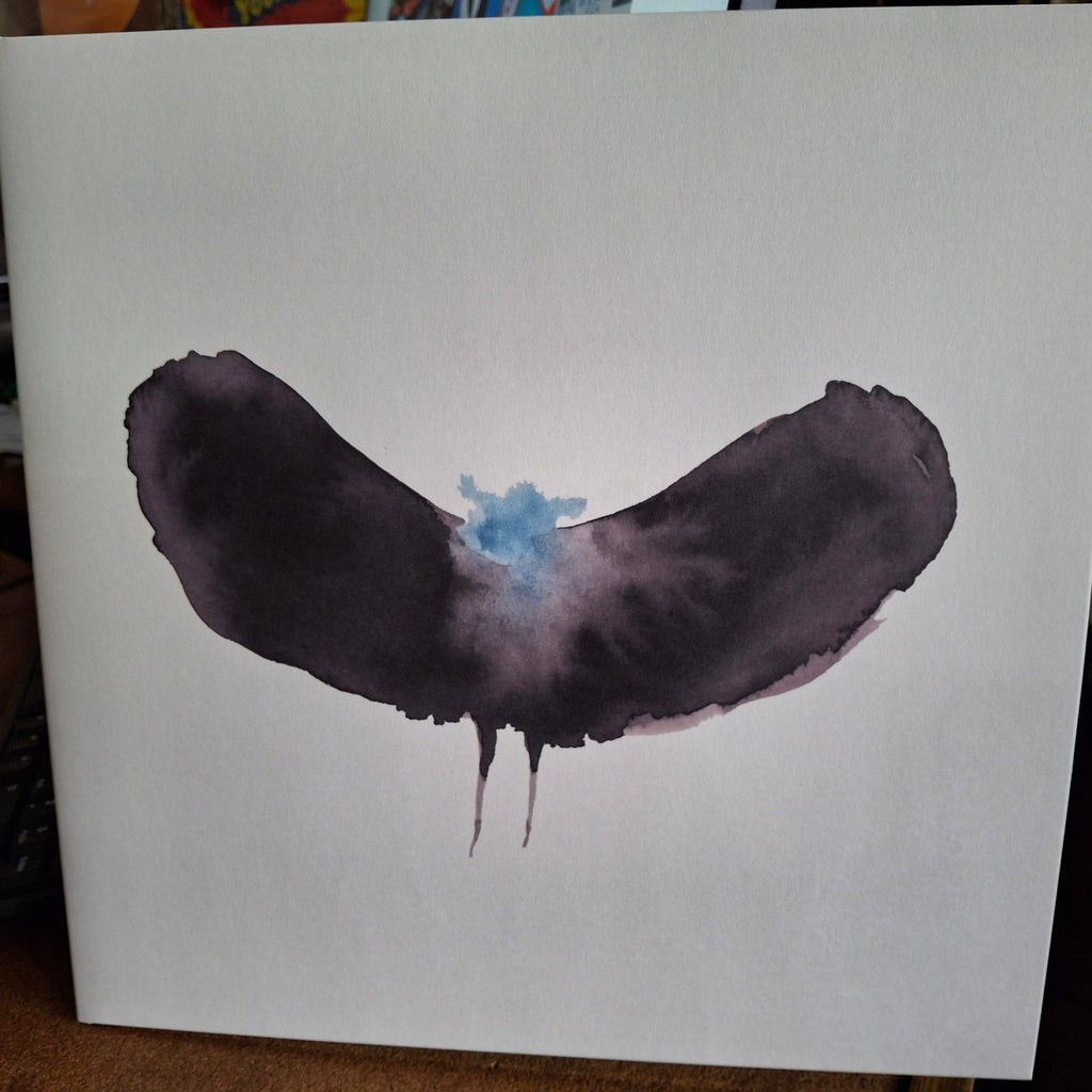 Charles Hayward x Dälek - HAYWARDxDÄLEK 2LP
