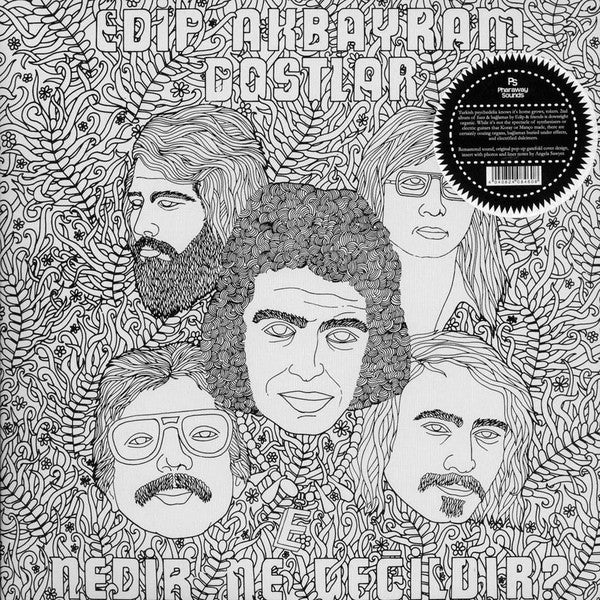 Edip Akbayram and Dostlar - Nedir Ne Degildir LP