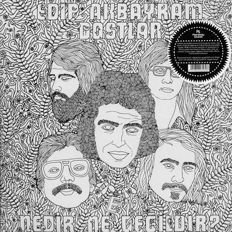 Edip Akbayram and Dostlar - Nedir Ne Degildir LP