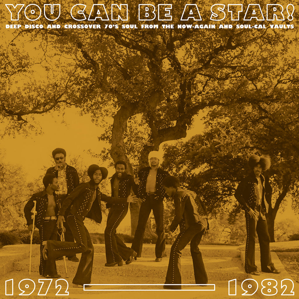 Various - You Can Be A Star! Deep Disco & Crossover 70s Soul from the Now-Again & Soul-Cal Vaults, 1972-1982 LP