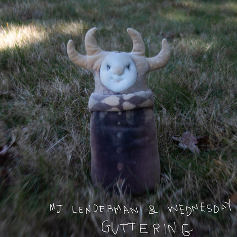 MJ Lenderman and Wednesday - Guttering LP