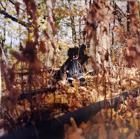 Billy Woods - Golliwog 2LP