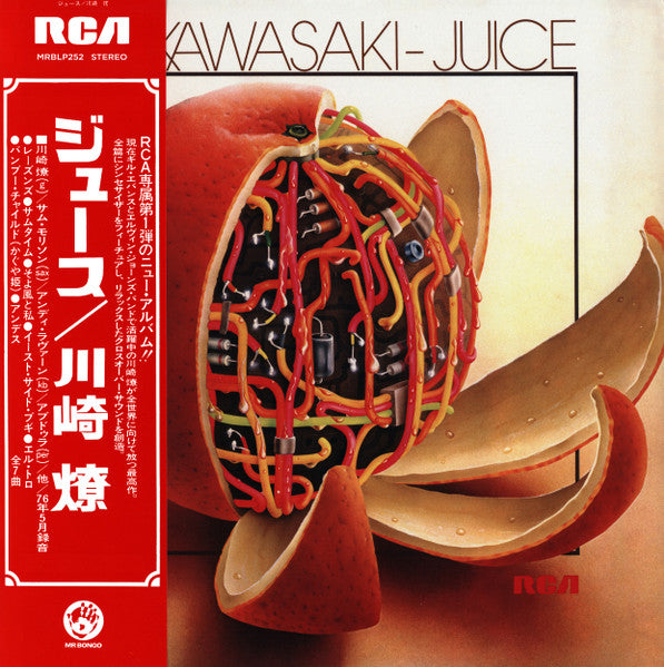 Ryo Kawasaki - Juice LP