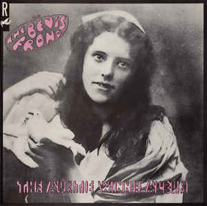 The Bevis Frond - The Auntie Winnie Album 2LP