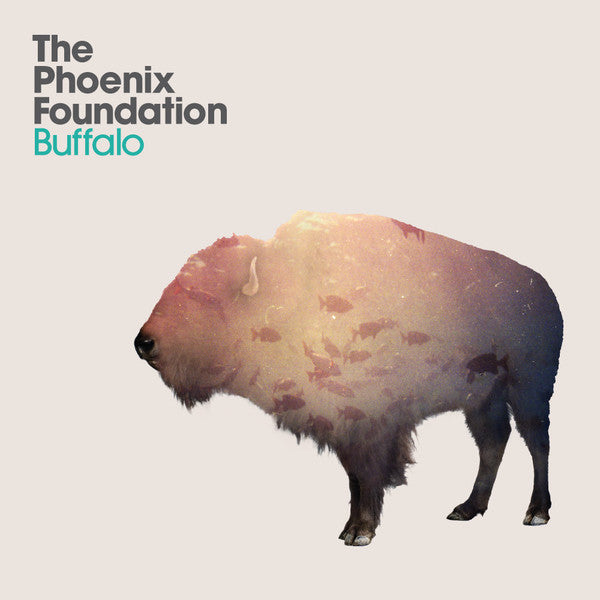 Phoenix Foundation - Buffalo LP
