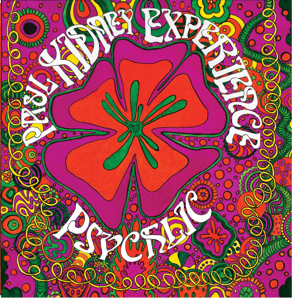 Paul Kidney Experience - Psychlic LP