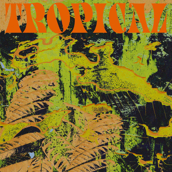 CV Vision - Tropical LP