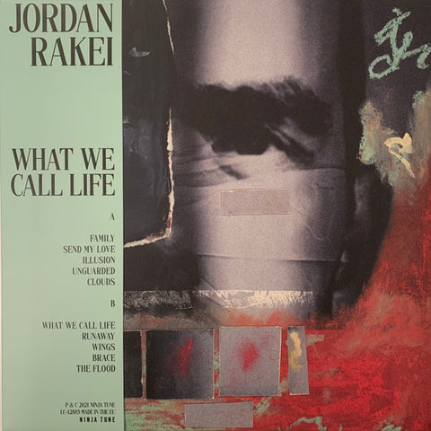 Jordan Rakei - What We Call Life 2LP