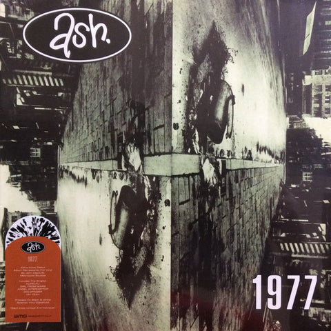 Ash - 1977 LP