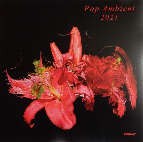 Various Artists - Pop Ambient 2021 LP