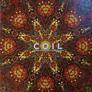 Coil - Stolen and Contaminated Songs 2LP