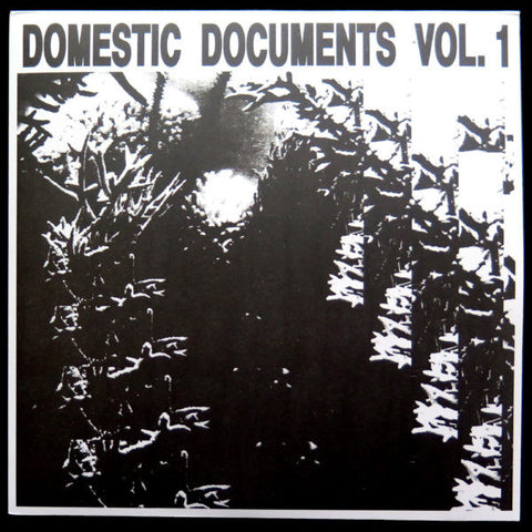 Various Artists - Domestic Documents Vol 1 2LP