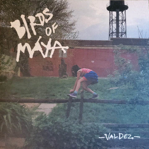 Birds Of Maya - Valdez LP