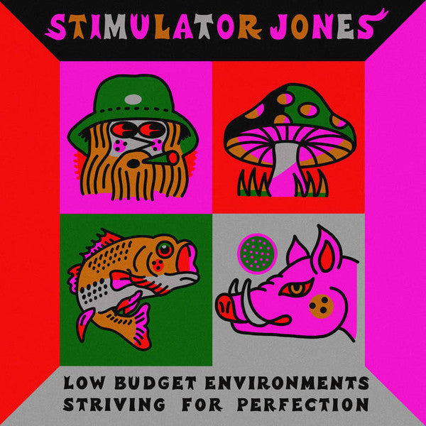 Stimulator Jones - Low Budget Environments Striving For Perfection LP