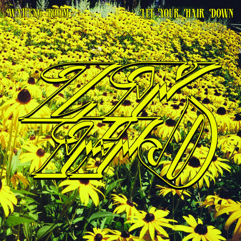 Let Your Hair Down - Waiting Room LP