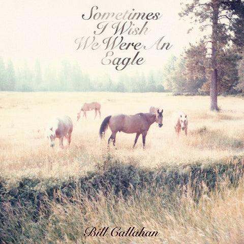 Bill Callahan - Sometimes I Wish I Were An Eagle LP