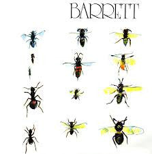 Syd Barrett - Barrett LP