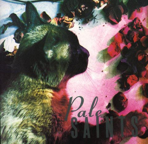 Pale Saints - The Comfort Of Madness LP