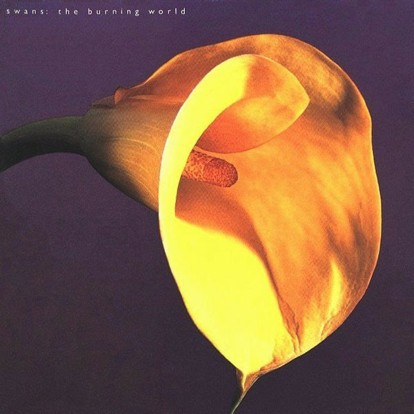 Swans - The Burning World LP